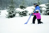 LUMESAHK ARTIC 80X127CM RATASTEGA ALUMIINIUM ÄÄR