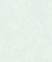 TAPEET FIORE FO1103 0,53X10,05M