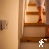 LIIKUMISANDUR PHILIPS HUE MOTION