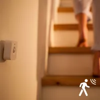 LIIKUMISANDUR PHILIPS HUE MOTION
