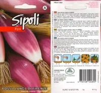 SEEMNED SIBUL KURZEMES SEKLAS 'ROSSA LUNGA DI FIRENZE' ROOSA 2G