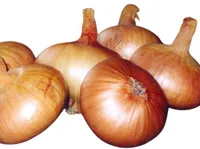 PESASIBUL JÕGEVA 3 0,2KG PAKIS