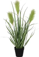 DEKORATIIVKÕRRELINE PILLIROOG Ø10CM POTIS H53CM ROHELINE