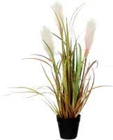 DEKORATIIVKÕRRELINE PILLIROOG Ø10CM POTIS H53CM PRUUN