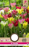 LILLESIBUL ROHELISEÕIELINE TULP FLOREX VIRIDIFLORA SEGU 8TK PAKIS