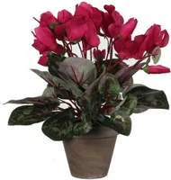 KUNSTLILL MICA DECORATIONS ALPIKANN Ø30X30CM POTIS Ø11,5CM TUMEROOSA/HALL