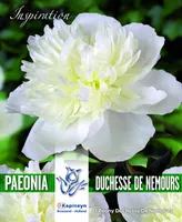 POJENG DUCHESSE DE NEMOURS