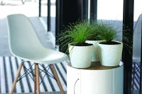 LILLEPOTIÜMBRIS PROSPERPLAST ORIENT PLASTIK Ø13CM VALGE