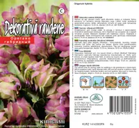 SEEMNED KURZEMES SEKLAS PUNE KIRIGAMI H 10 S