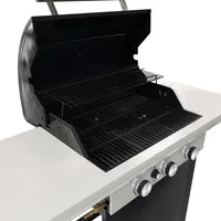 GAASIGRILL BARBECOOK SPRING 3102