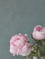 DEKORATIIVVÄRV ALPINA FARBREZEPTE BETON-OPTIK 3+1L BETOONHALL MATT