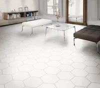 KERAAMILINE PLAAT REALONDA OPAL VALGE 28,5X33CM 1M² PAKIS