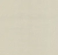 TAPEET DUTCH WALLCOVERINGS CASUAL CHIC UNI BEIGE 13337-40