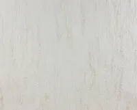 TAPEET DUTCH WALLCOVERINGS SCHUIMVINYL BEEŽ 6600-0