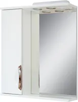 PEEGELKAPP PREMIUM PLUS LED 55X16,6X70CM VALGE VASAK