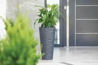 LILLEPOTT FORM-PLASTIC DUNES SLIM ÜMAR HALL 35CM