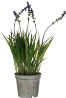 KUNSTLILL MICA DECORATIONS LAVENDEL PLASTPOTIS 30X9CM