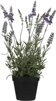 KUNSTLILL MICA DECORATIONS LAVENDEL POTIS 14X14X43CM