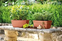 ÜMBRISPOTT DEROMA ROMA LISCIA SAVIST 42CM TERRA