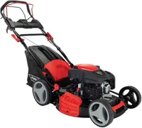 MURUNIIDUK SCHEPPACH BENSIINIMOOTORIGA MS225-53E