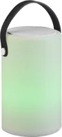 LAUALAMP REALITY BERMUDA LED RGBW BLUETOOTH KÕLAR IP44