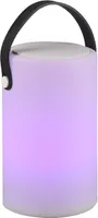 LAUALAMP REALITY BERMUDA LED RGBW BLUETOOTH KÕLAR IP44