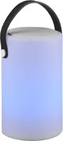 LAUALAMP REALITY BERMUDA LED RGBW BLUETOOTH KÕLAR IP44