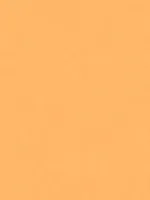 TAPEET DUTCH WALLCOVERINGS JET SETTER UNI ORANJE