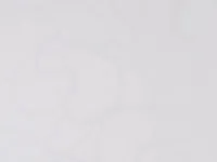 TAPEET DUTCH WALLCOVERINGS RAFFI CITY GARDEN ROSE WHITE