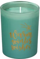 LÕHNAKÜÜNAL SPAAS KLAASIS ROHELINE 45H KUUSEOKAS