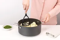 PUDRUNUI BRABANTIA PROFILE