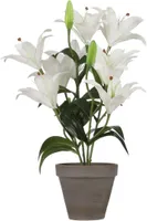 KUNSTLILL MICA DECORATIONS TIIGER LIILIA HALL 47X45CM