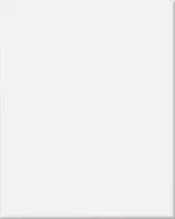 KERAAMILINE SEINAPLAAT MITO TANIA VALGE 20X25CM 1,5M² PAKIS