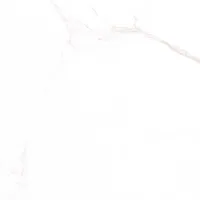 PÕRANDAPLAAT PRISSMACER INDIANA BLANCO 60,8X60,8CM 1,85M2 PAKIS