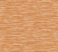 TAPEET AS CREATION DANIEL HECHTER 6 C37525-1