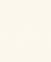 TAPEET RASCH DENZO II R607727