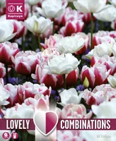 LILLESIBULATEKOMPL. TOPLETÕIELINE TULP 15TK