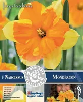 LILLESIBUL KAPITEYN TROMPETNARTSISS "MONDRAGON" 5TK PAKIS