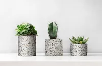 KLEEBIS D-C-FIX 346-8179 0,675X2M 