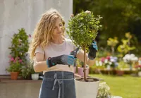 ROOSIKINDAD GARDENA 8/M TORKEKINDEL