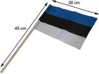 KÄSILIPP EESTI 30X19CM