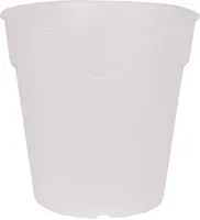 ISTUTUSPOTT ORHIDEELE ARTEVASI MADAGASCAR TO GROW 17CM LÄBIPAISTEV