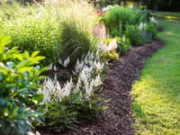 MÄNNIKOOREMULTŠ BALTIC BARK 0-15MM 50L