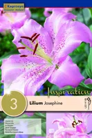 IDALIILIA KAPITEYN "JOSEPHINE" 3TK PAKIS