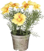 KUNSTLILL MICA KARIKAKAR POTIS 21,5X13CM, KOLLANE