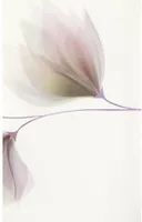 SEINAPLAAT CERSANIT LORIS WHITE INSERTO FLOWER 40X25CM 2TK KOMPLEKTIS