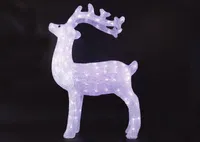 JÕULUKUJU VALGUSTUSEGA PÕHJAPÕDER 160LED IP44, KÜLM VALGUS