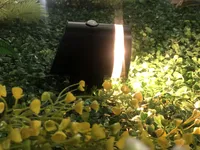 FASSAADIVALGUSTI SOLAR ANTRATSIIT 9X12X14CM LIIKUMISANDUR