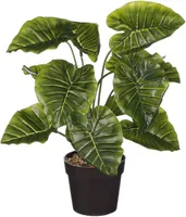 KUNSTTAIM MICA ALOCASIA 40X35CM POTIS