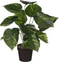 KUNSTTAIM PHILODENDRON 40X35CM POTIS